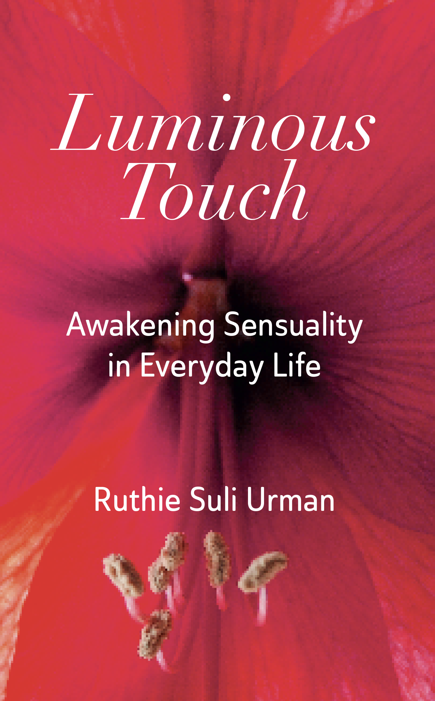 Luminous Touch book cover